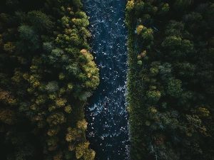 tom ohlin fexfdfmxnmu unsplash